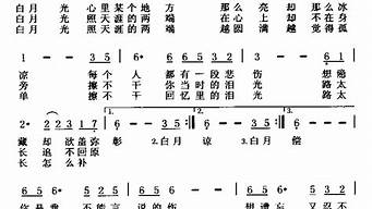 白月光 歌词_白月光歌词与朱砂痣歌词