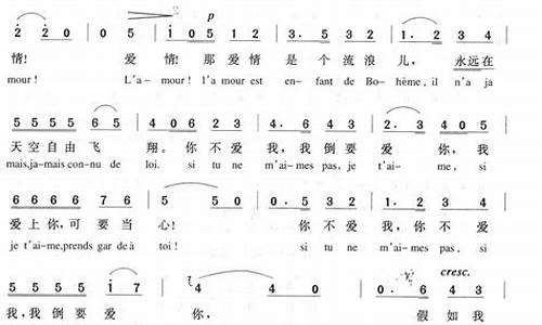 爱情是一只自由鸟_爱情是一只自由鸟歌剧