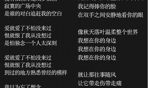 你的美丽歌词是什么歌_你的美丽歌词完整版