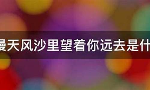 在漫天风沙里望着你远去是什么歌_歌词在漫天风沙里望着你远去是什么歌