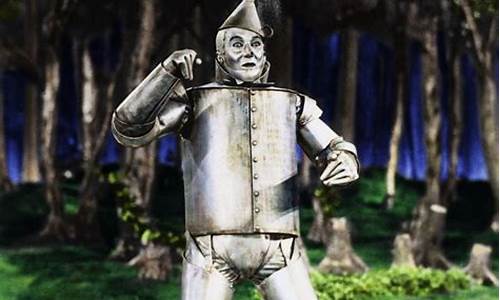 tin man_tin man翻译